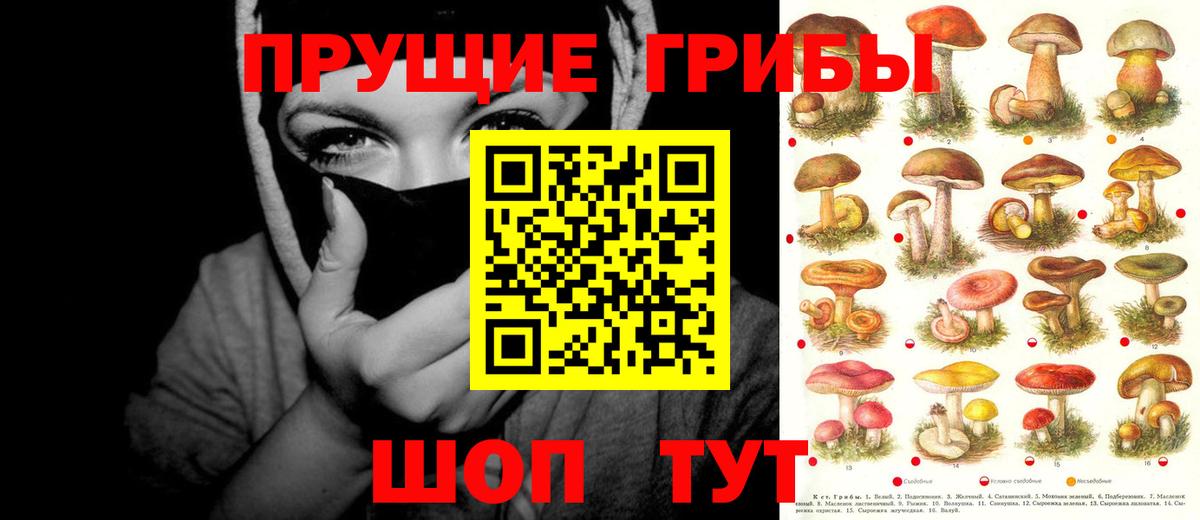 Тара  Псилоцибиновые грибы ЛСД  Вход с VPN  закладки  Псилоцибиновые грибы Psilocybine cubensis 
